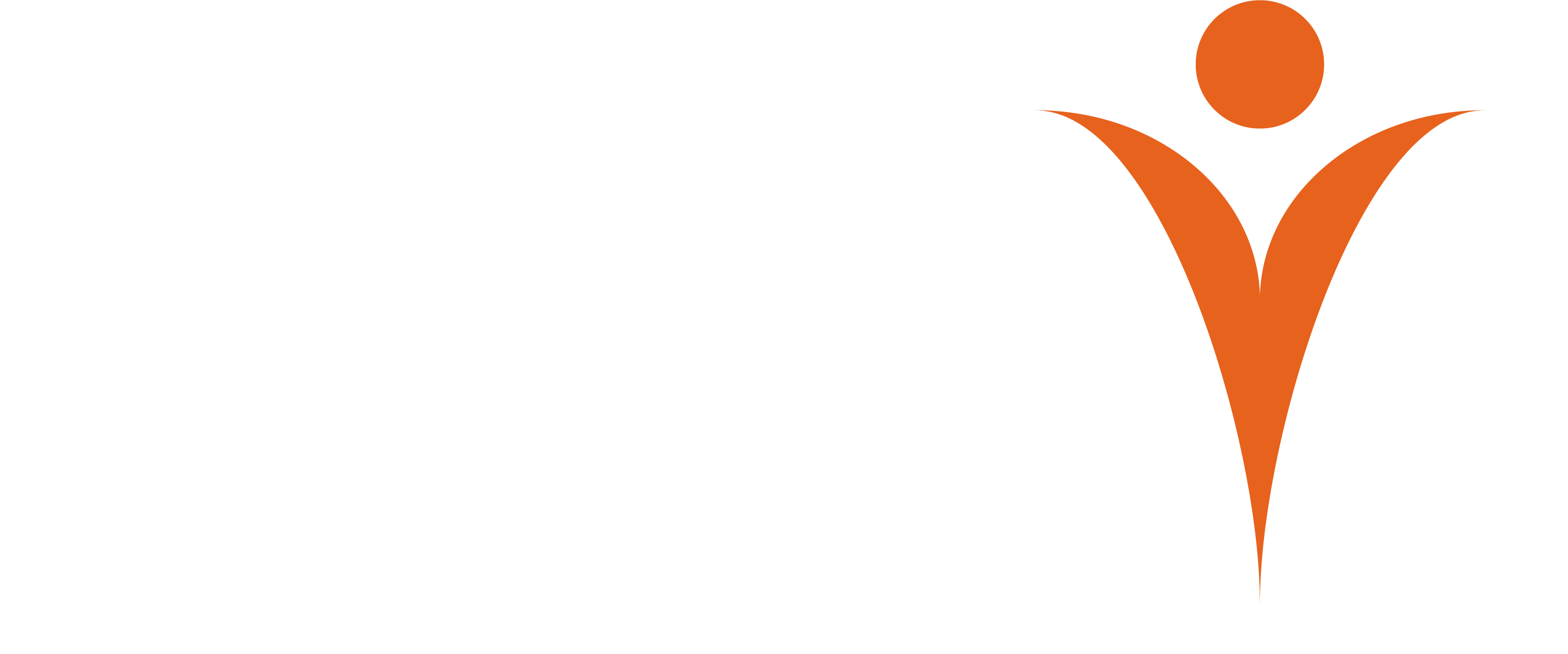 SYESIS IT SOLUTION PVT LTD